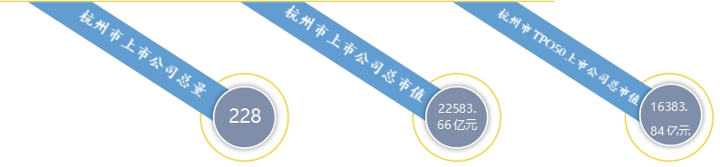 2024年上半年杭州A股上市公司涨幅排行榜