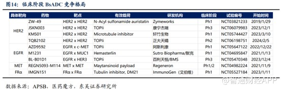 新股前瞻丨百利天恒（688506.SH）：靠一个BD能吃多久？