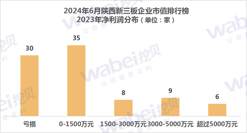 2024年6月陕西新三板企业市值排行榜：15家企业去年净利润超3000万元