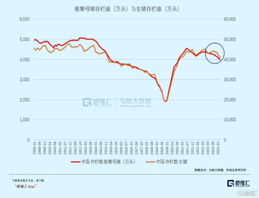 重要信号出现！行业龙头开始赚钱了