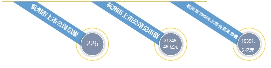 2024年8月杭州市A股上市公司涨幅排行榜