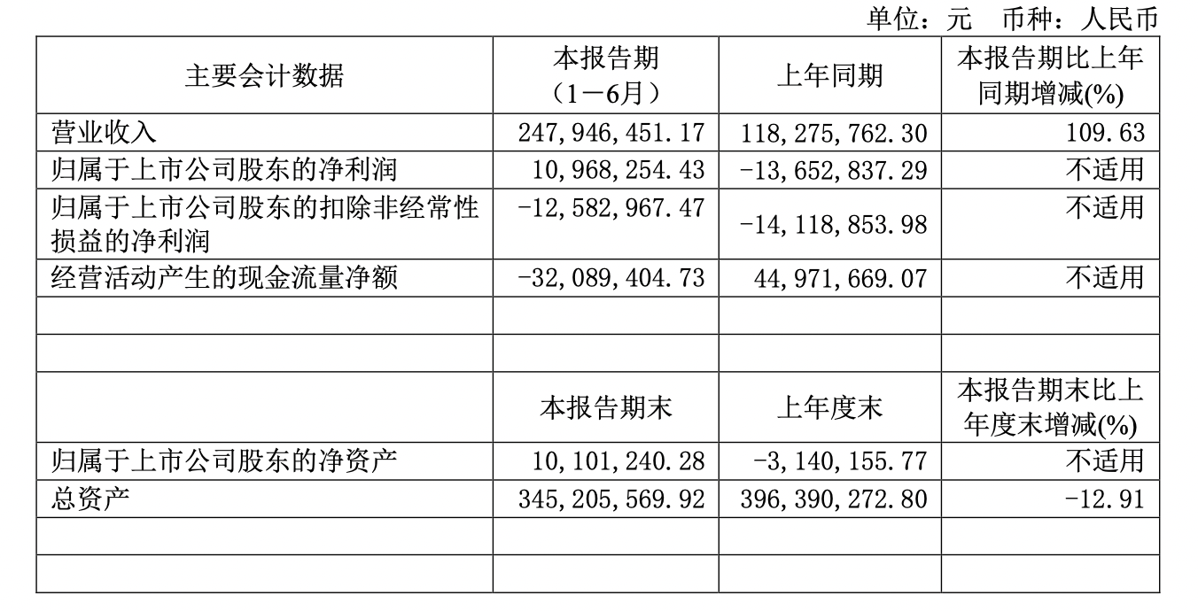 A股又现“95后”董事长，*ST九有连续三年亏损