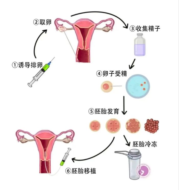 “造娃”生意造出一个IPO