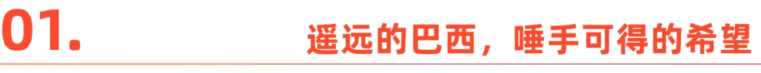 在巴西赚了5个亿，他们只想闷声发大财