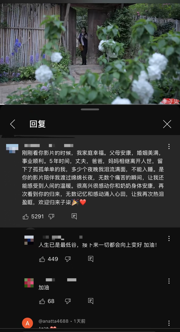 生活越辛苦，李子柒就越白月光